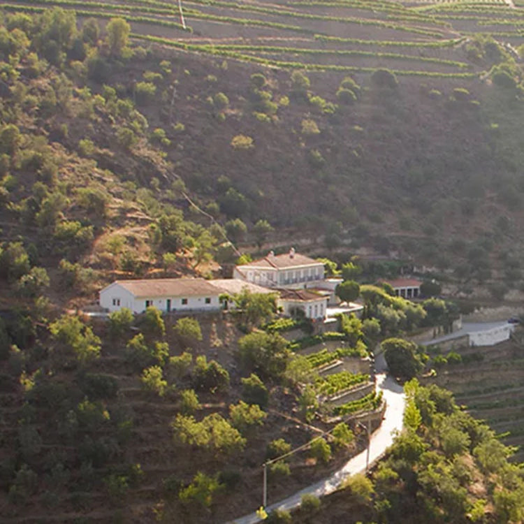 Wines From The Douro Valley